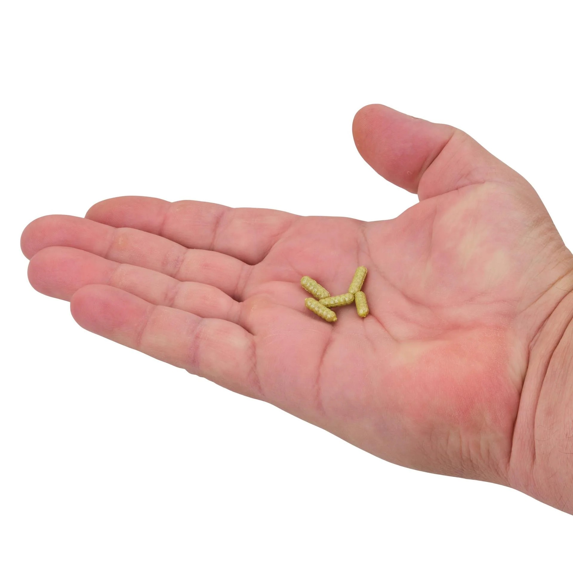 Berkley_PowerBaitPowerWigglers_Chartreuse_HAND.jpg